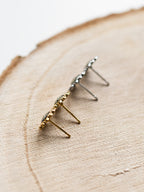 Ohrstecker mit Wilder Möhre