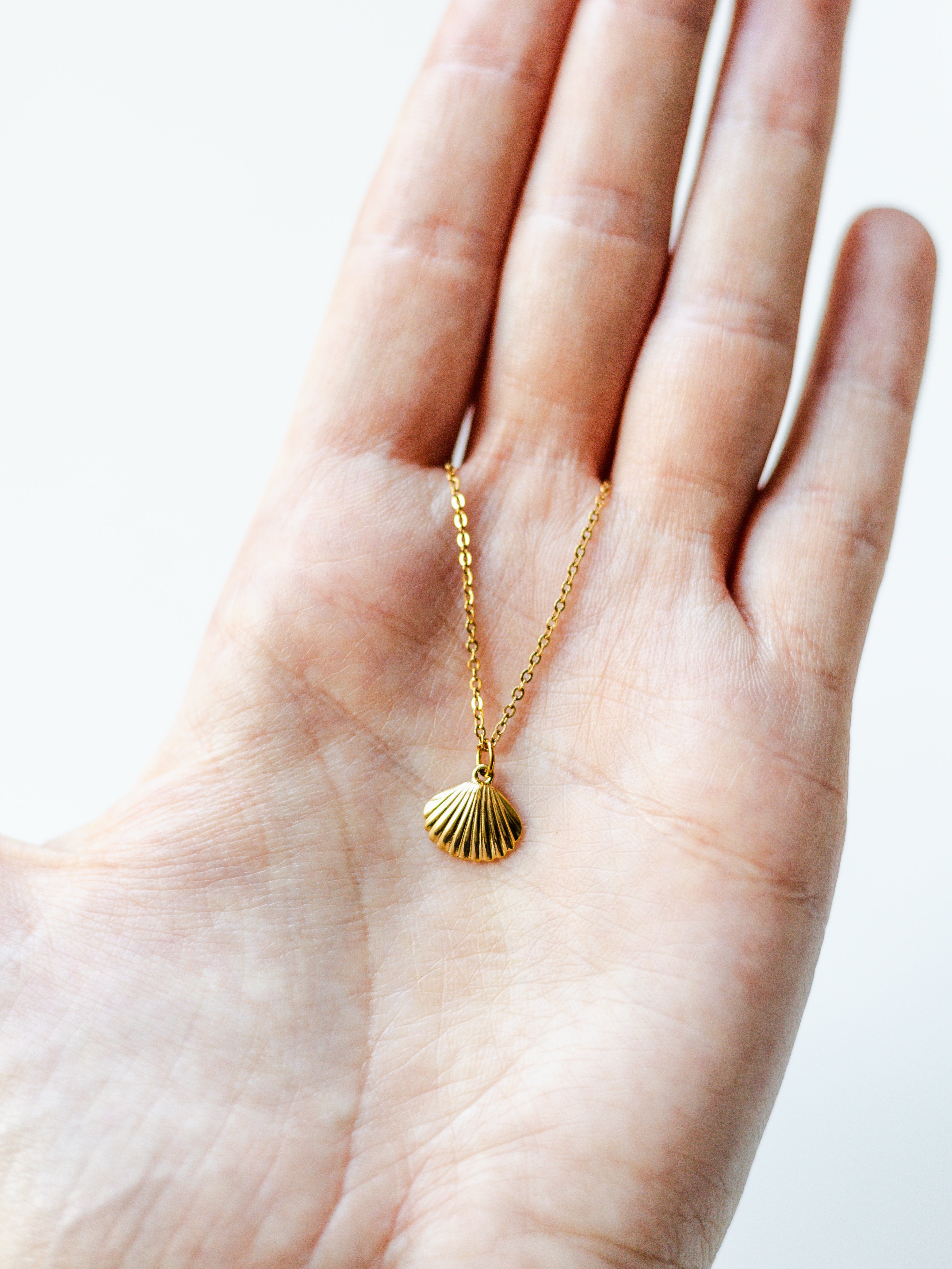 Halskette mit Muschel