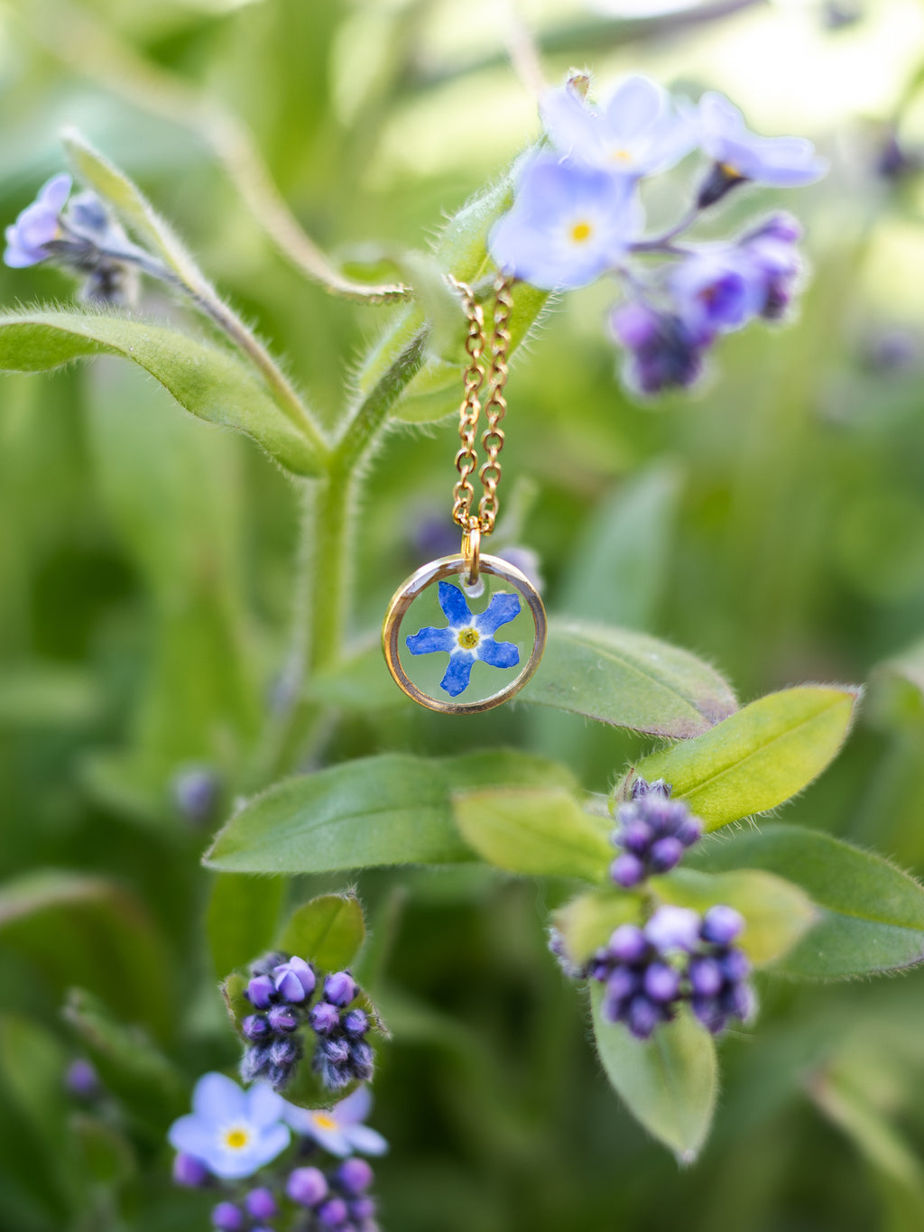 Dezente Halskette mit echten Blüten | Epoxidharz-Schmuck | Usedom Schmuck | Schmuck mit Pflanzen | Edelstahl Halskette | Vergissmeinnicht Schmuck
