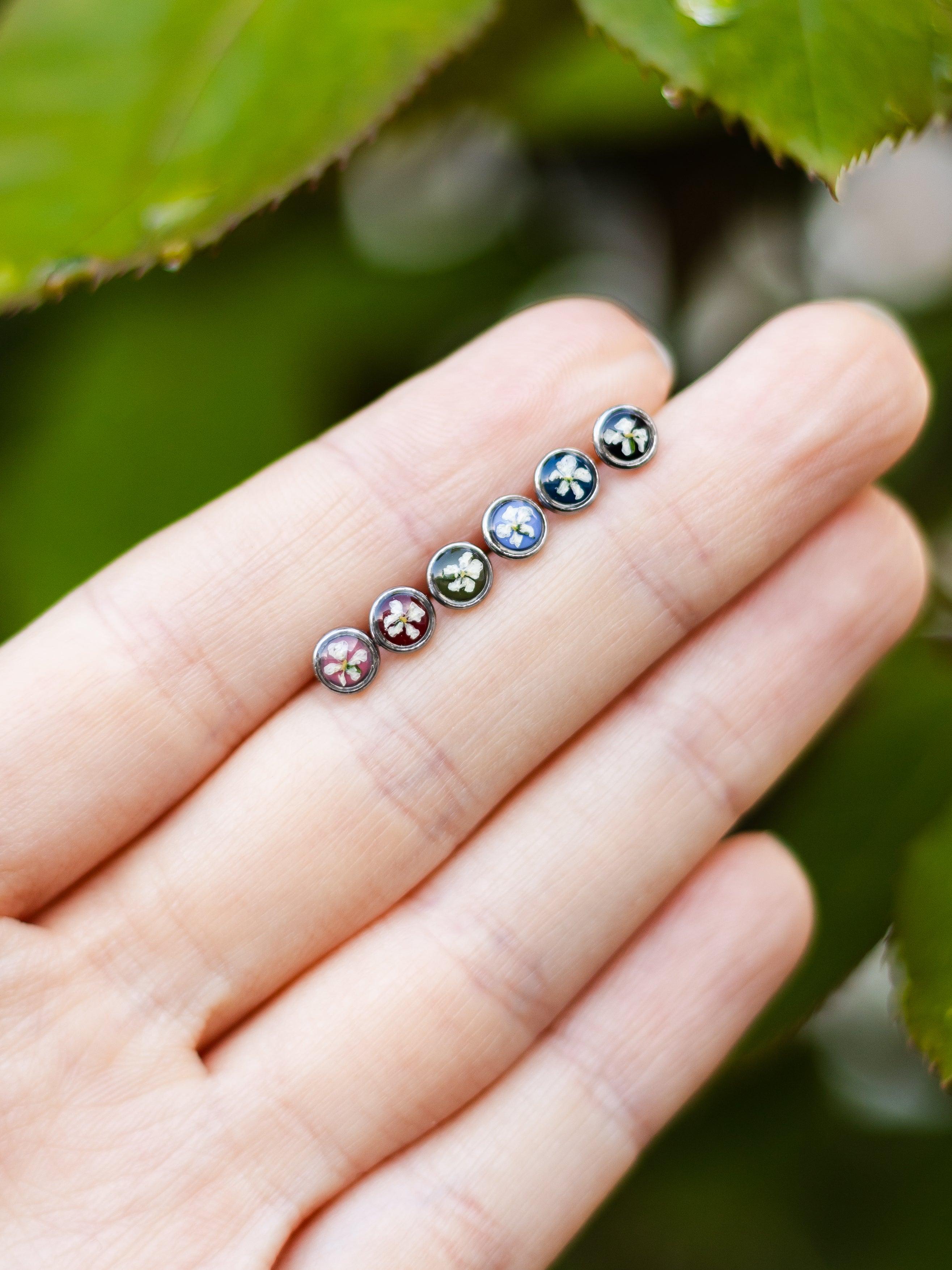 Winzige Ohrstecker mit echten Blüten | Für Allergiker geeignet | Nickelfreie Ohrstecker | Allergieschmuck | Chirurgenstahl Ohrstecker | Kinderschmuck | Ohrringe für Kinder | Gesundheitsstecker Blume | Ohrringe mit Pflanzen