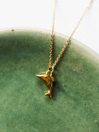 Necklace with dolphin