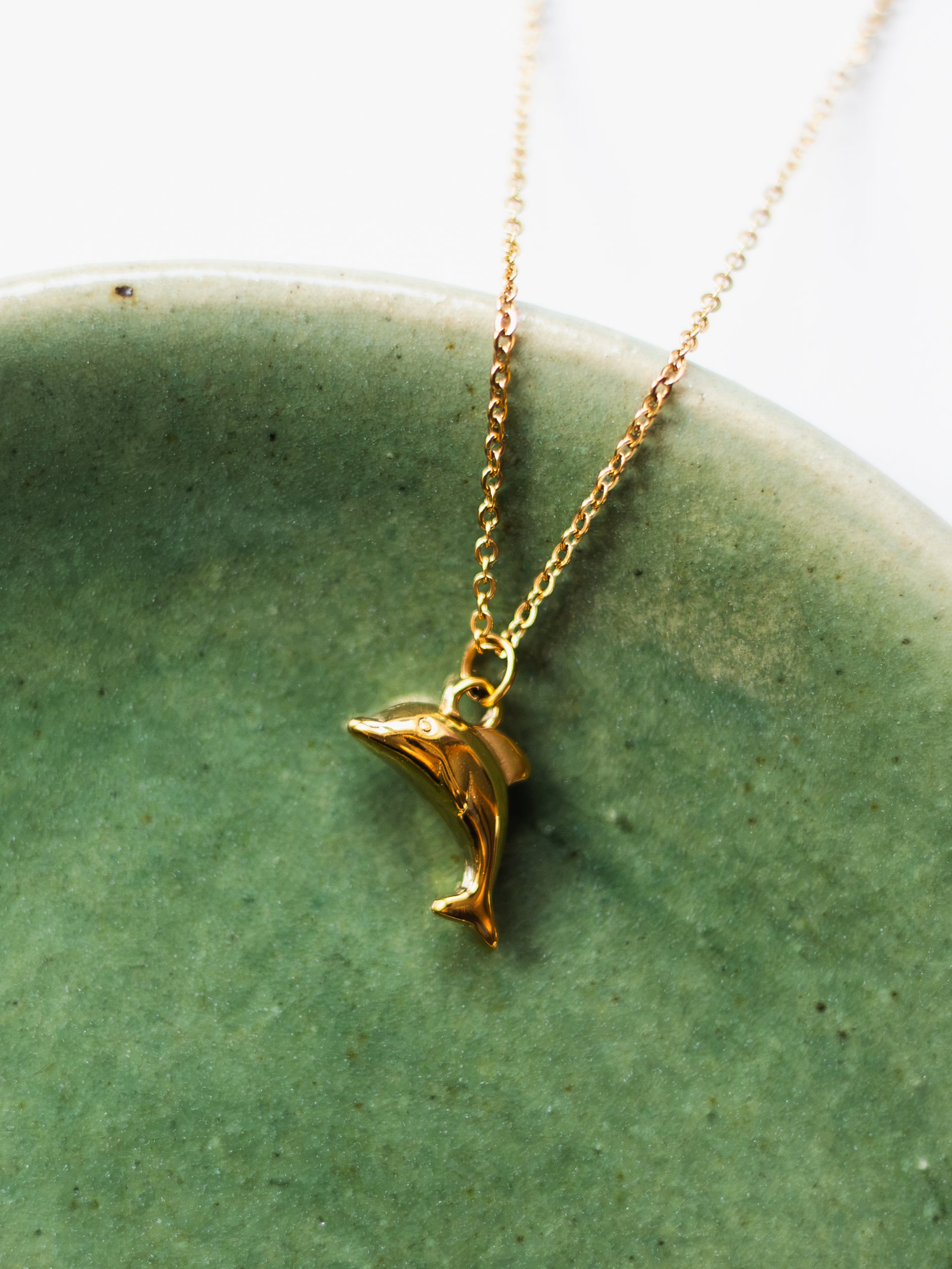 Necklace with dolphin