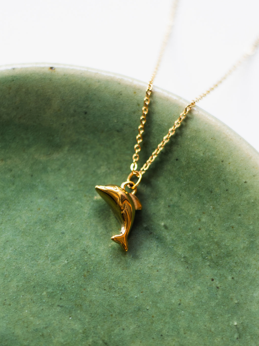Necklace with dolphin