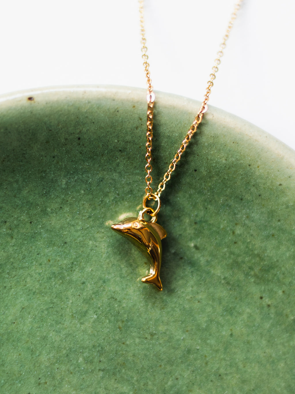 Necklace with dolphin