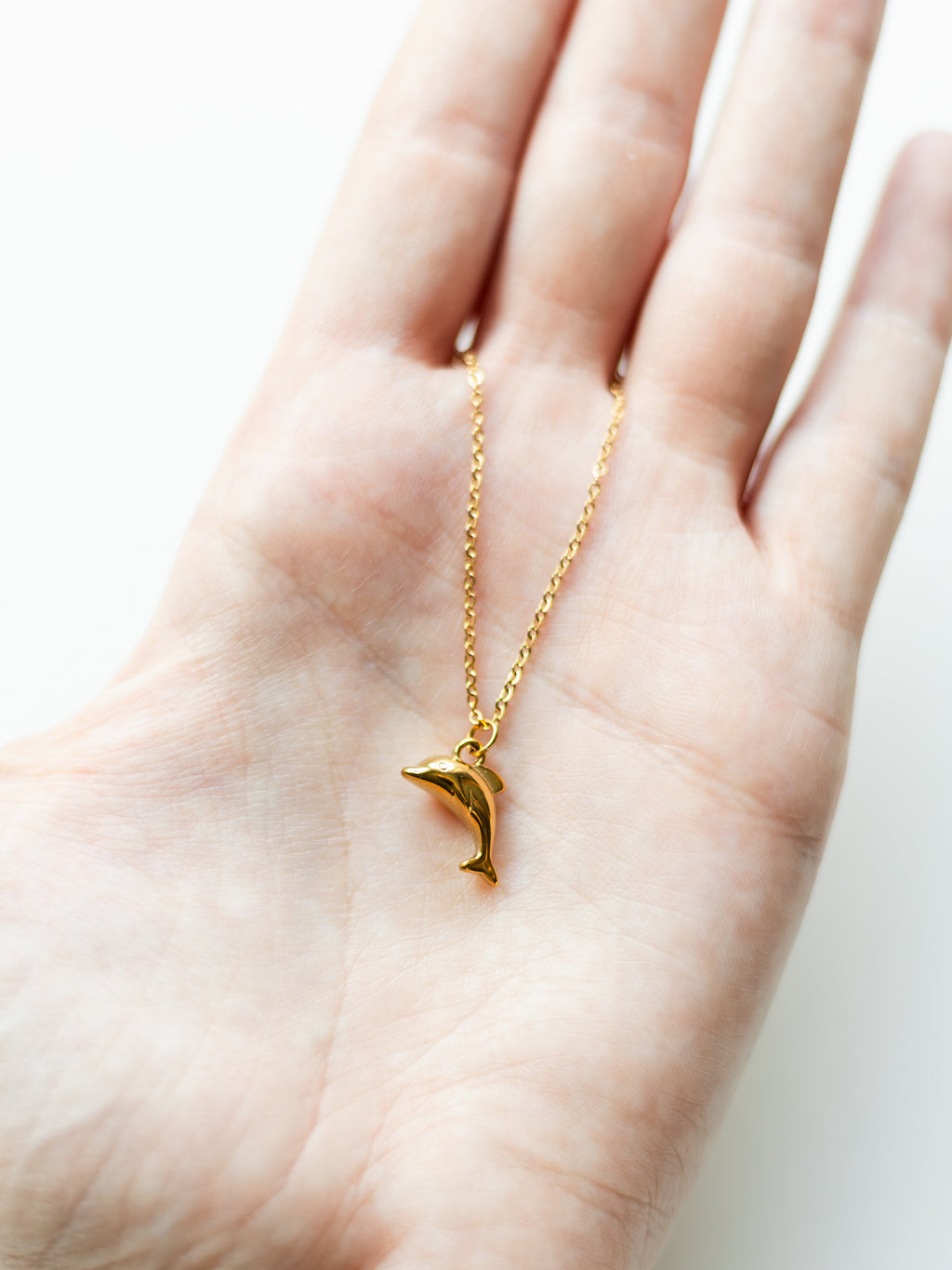 Necklace with dolphin