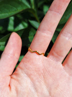 Ring mit Wilder Möhre