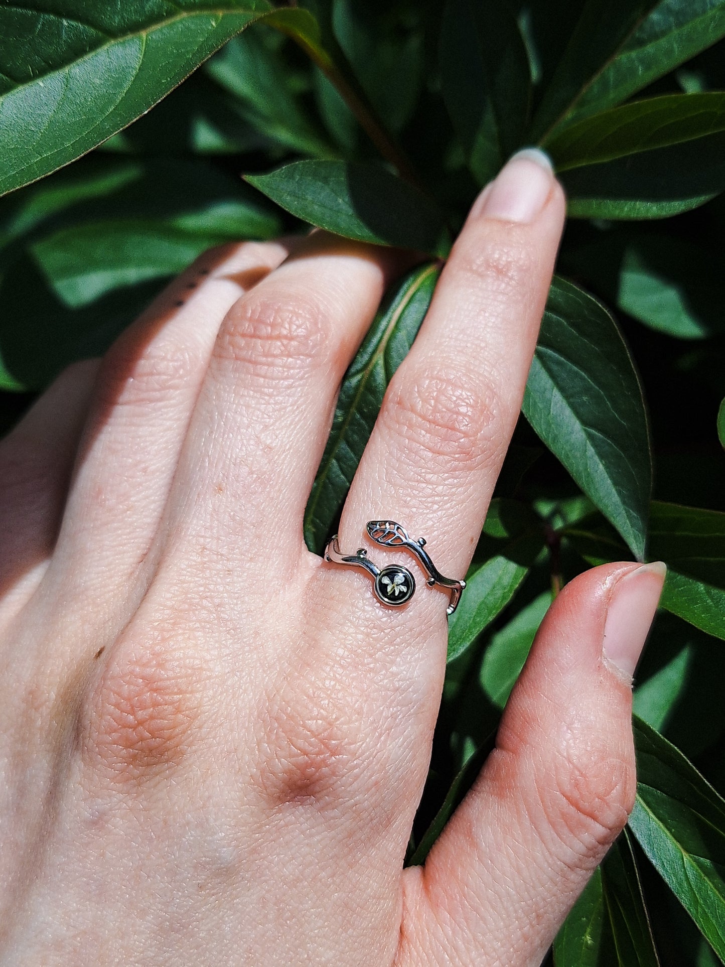 Ring mit Wilder Möhre