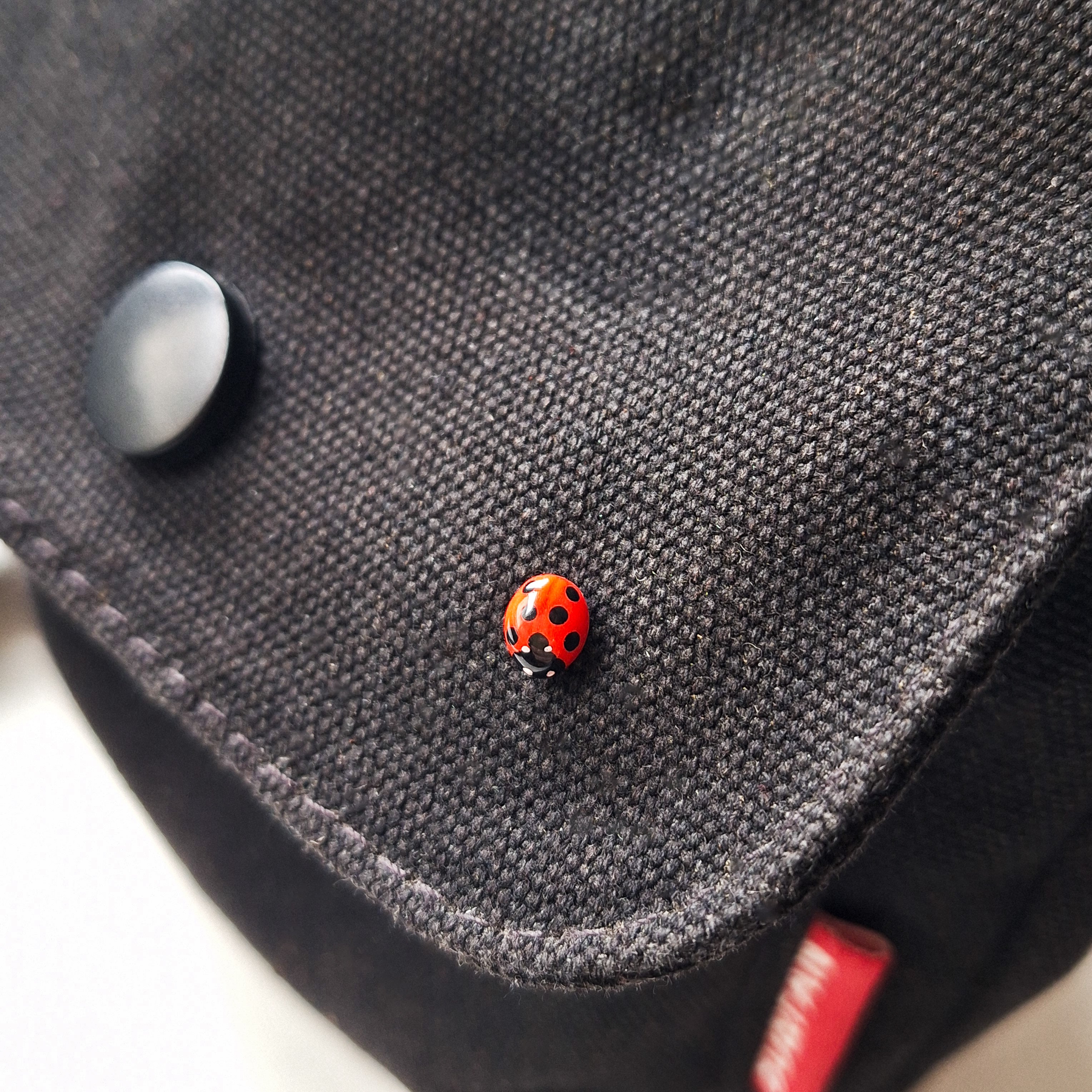 Realistischer Marienkäfer Pin, Brosche, Anstecknadel, handgemacht aus Fimo - Sandkorn Usedom